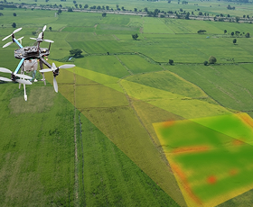 Precision agriculture fields